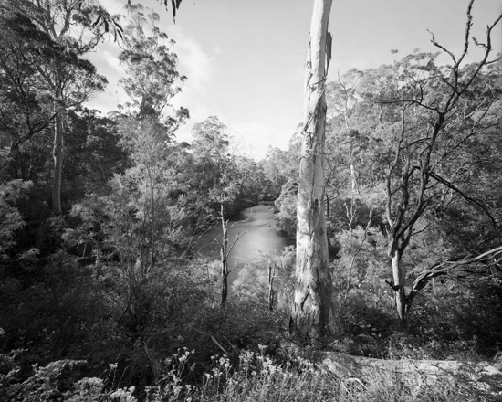 Murray River at start of Murray Gates